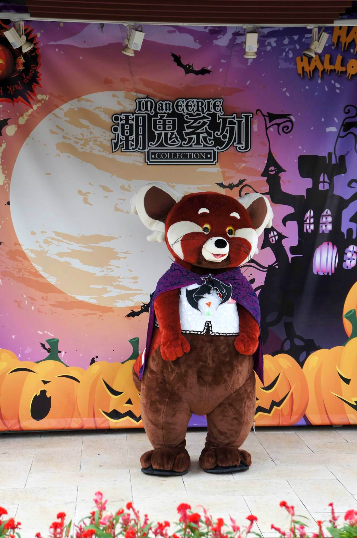 香港澳门七天撒花游 (万圣节海洋公园和迪士尼