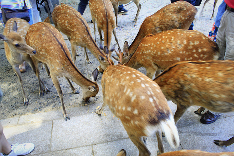 世界从古至今gdp_世界gdp排名2020