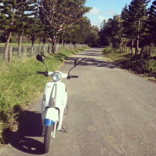 自行车图片大全多少钱一台 wKgB3FFkCHSAdLpZAA35a80DDW808.jpeg?imageView2%2F2%2Fw%2F600%2Fq%2F90