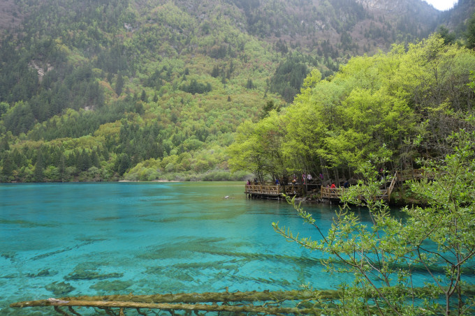 旅游攻略自驾九寨沟 wKgB4lYx832AN6sSABMl1Z8c-xs23.jpeg?imageView2%2F2%2Fw%2F680%2Fq%2F90