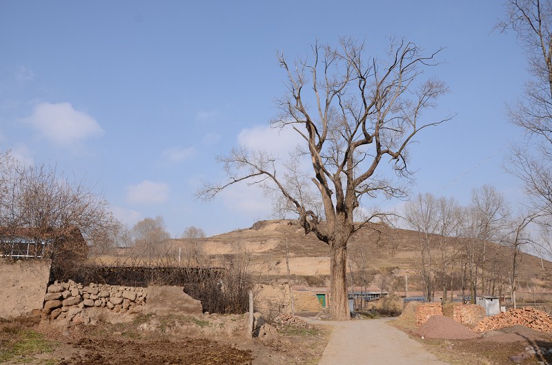 南门峡镇人口_2020南门峡镇中心学校