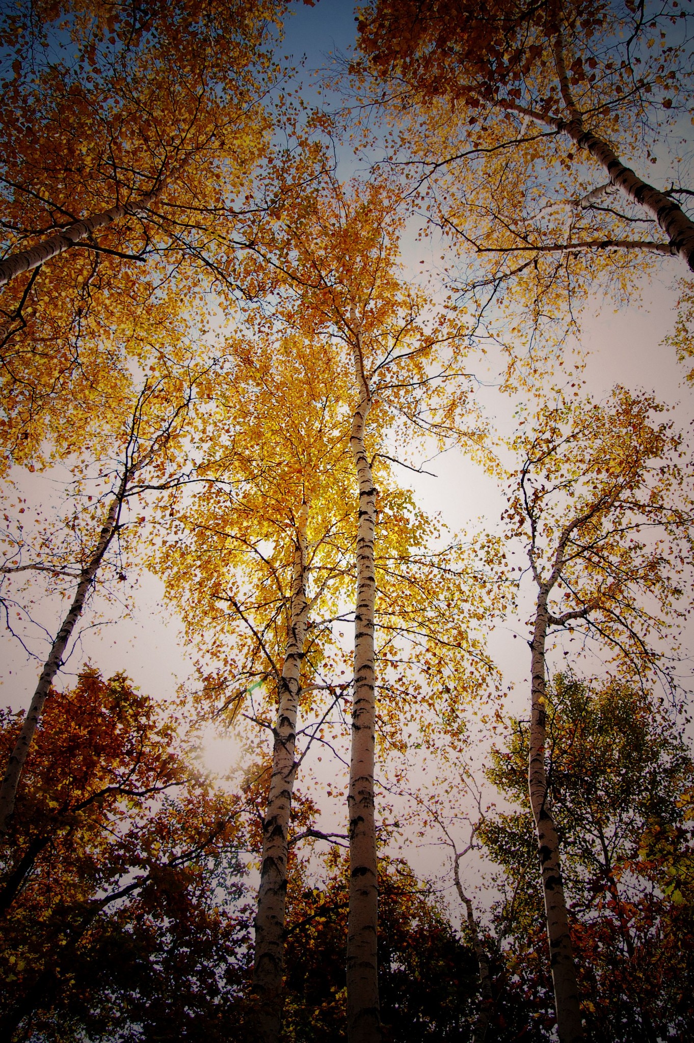 wKgB6lQ7poqACTqvABYW4b_bNws12.jpeg?imageView2%2F2%2Fw%2F680%2Fq%2F90