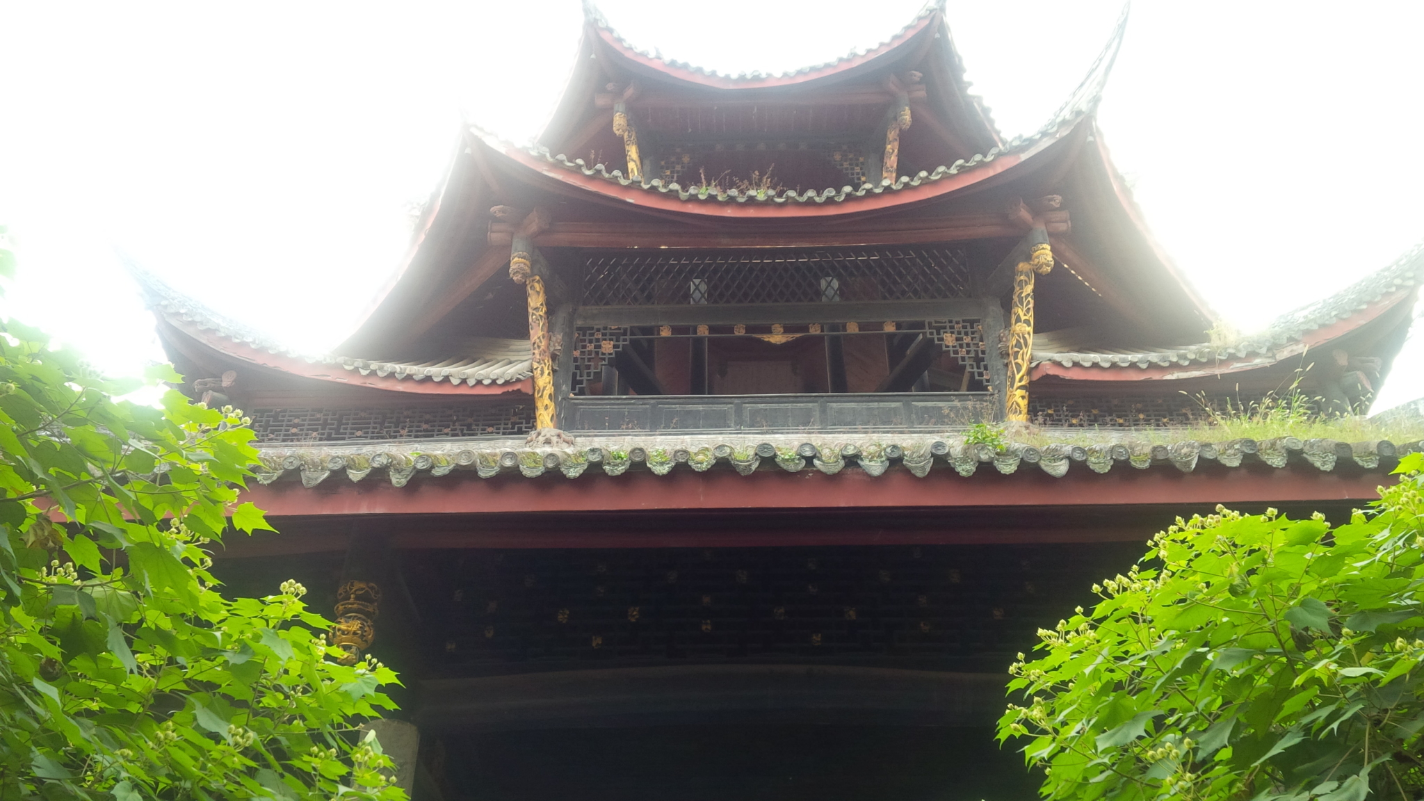 新津县人均_新津县人民医院(2)
