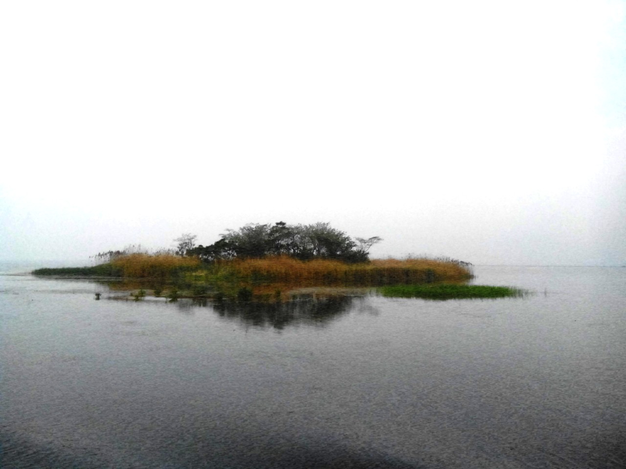 兰溪下潘人口(2)