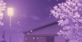 爱在春暖花开时•北京 爱在春暖花开时•北京