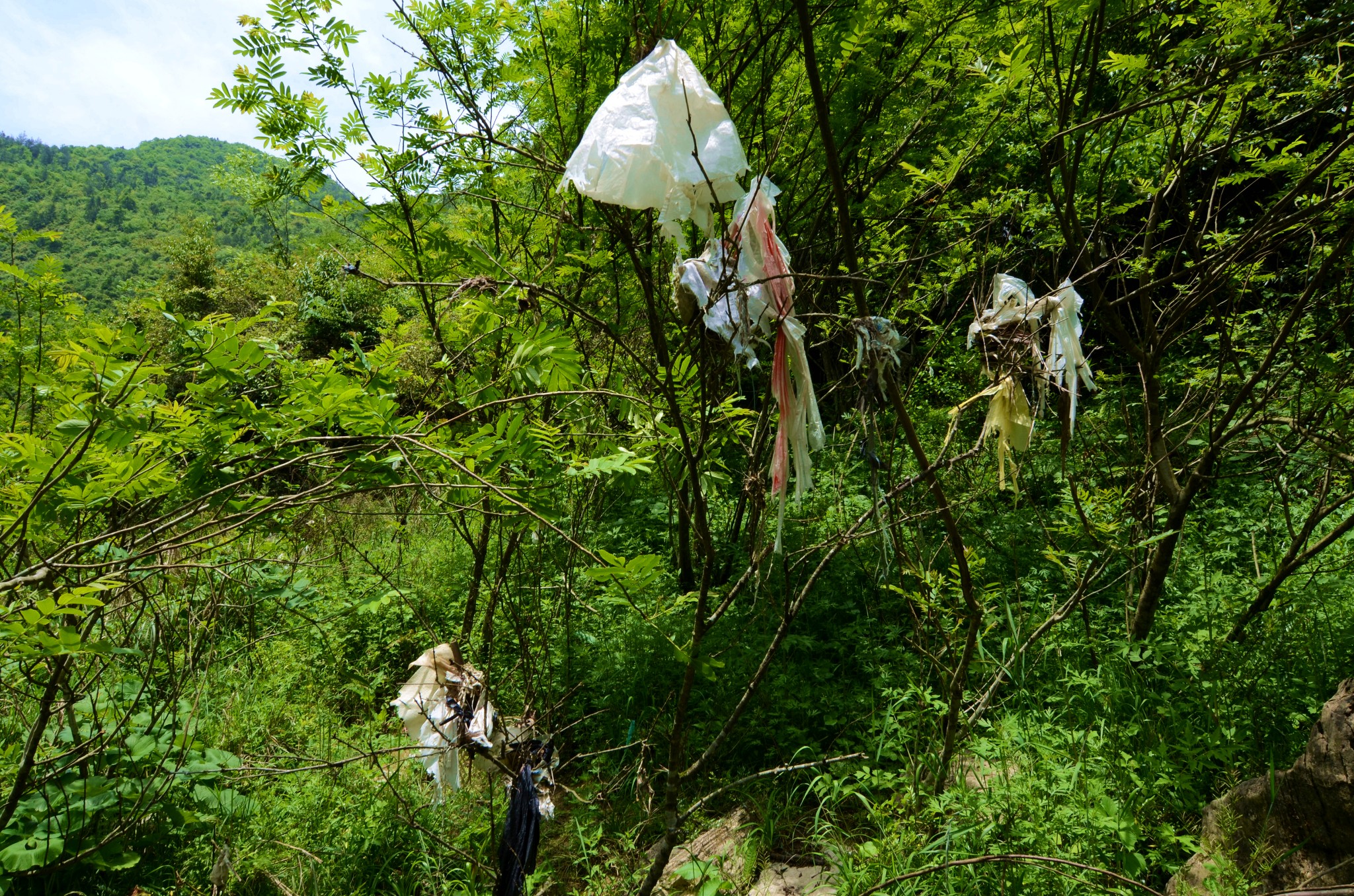 【秘境之旅】探寻清江古河床