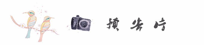 预告片 预告片
