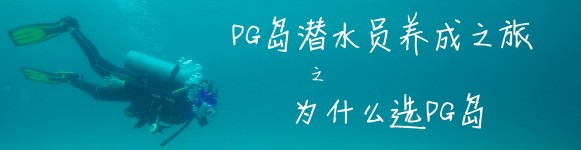 为什么选PG岛 为什么选PG岛