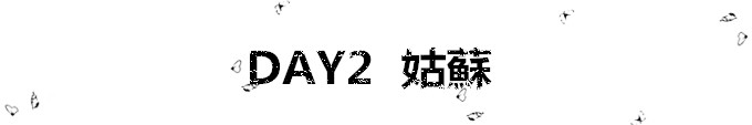Day 2 Day 2