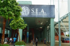 圣淘沙海洋馆 圣淘沙海洋馆