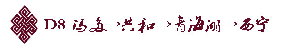 D8 玛多→共和→青海湖→西宁 D8 玛多→共和→青海湖→西宁