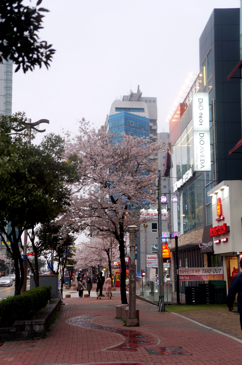 wKgBs1crUlqADDW8AAYQuX6fVMI18.jpeg?imageView2%2F2%2Fw%2F680%2Fq%2F90