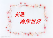 长隆海洋世界 长隆海洋世界
