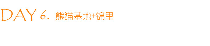 DAY 6. 成都 DAY 6. 成都