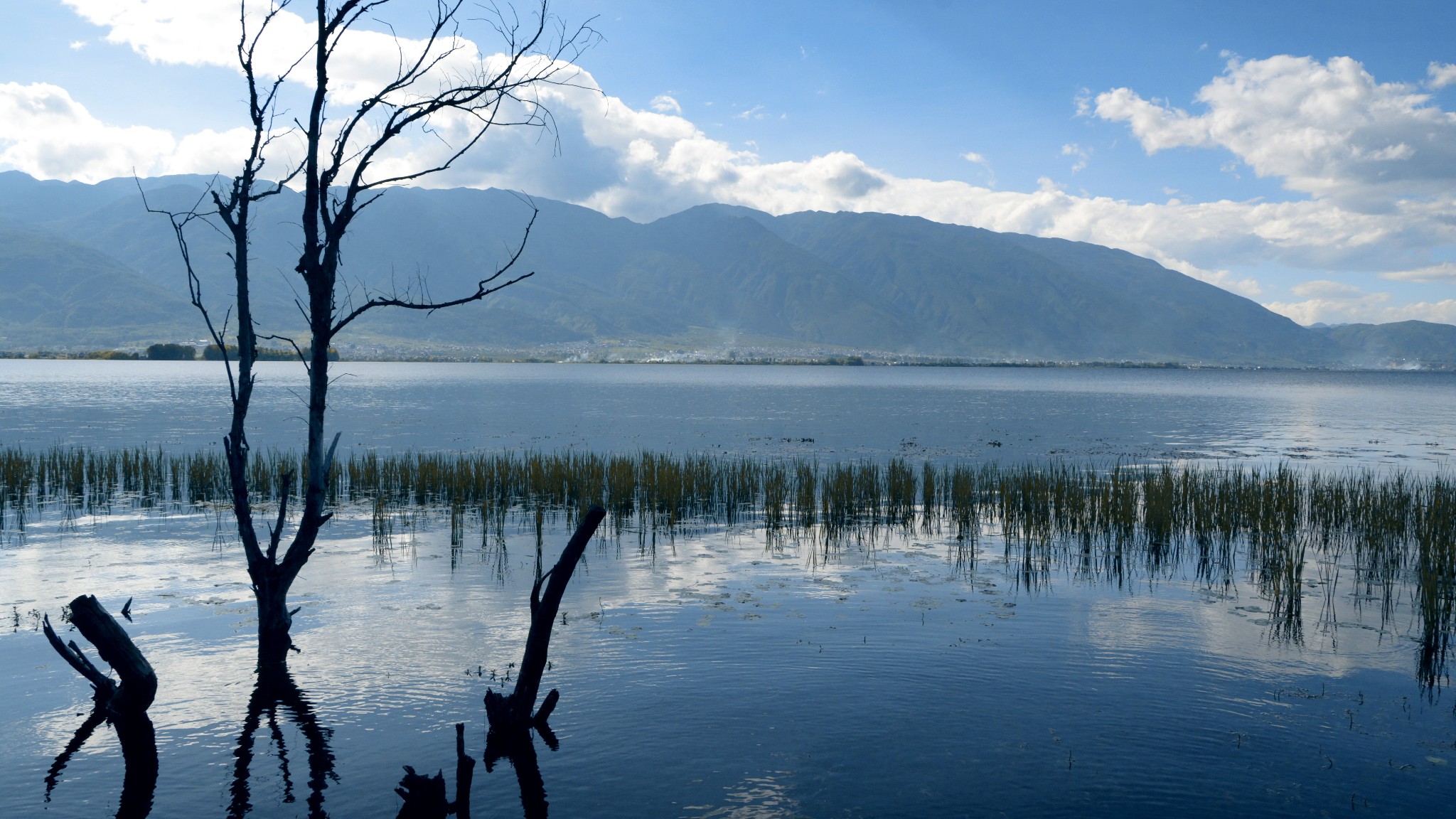 泸沽湖拍婚纱照_泸沽湖水性杨花图片