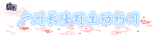 广州长隆野生动物园 广州长隆野生动物园