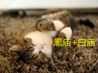 黑庙+白庙 黑庙+白庙