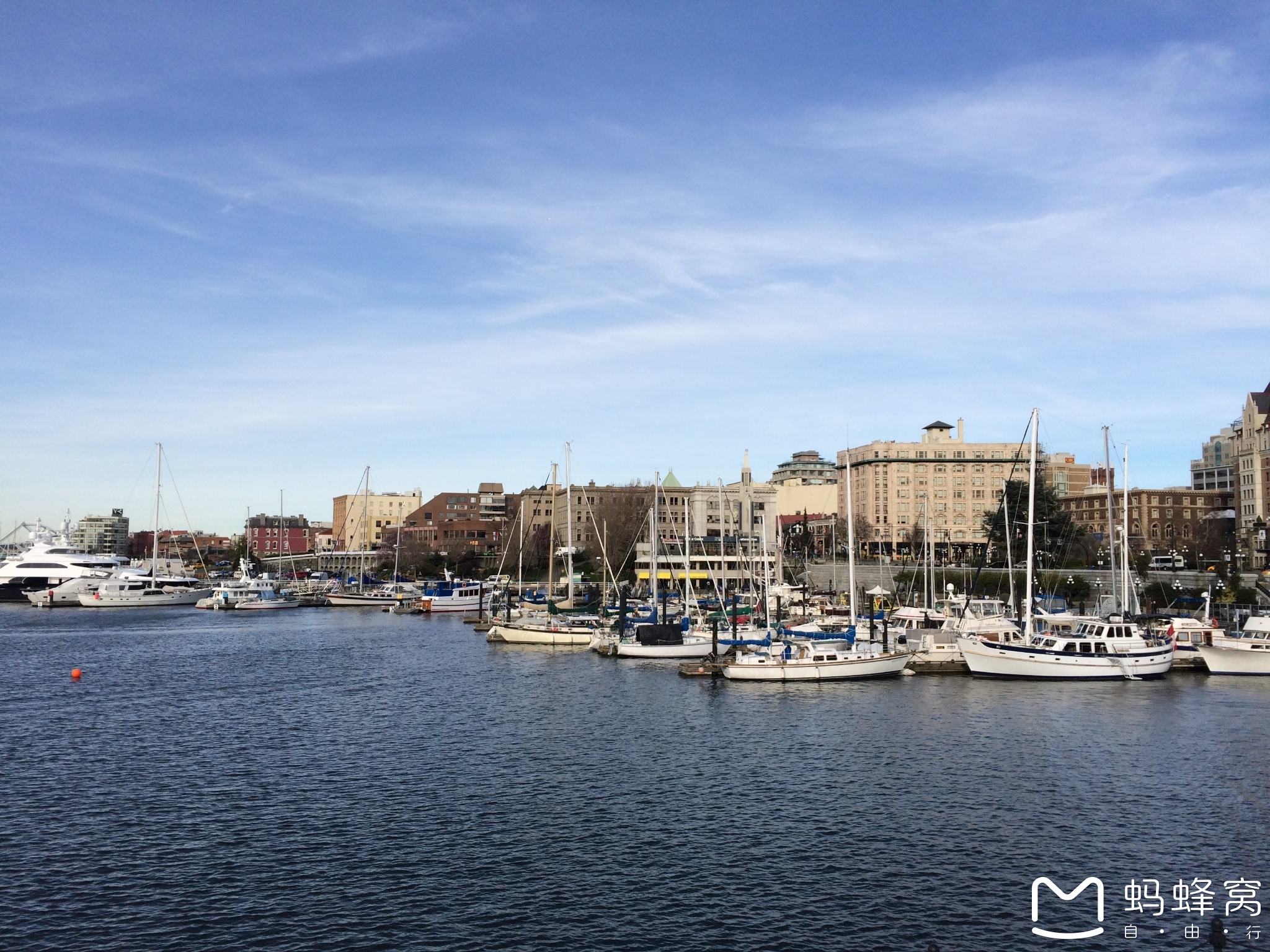 wKgBs1bjg3WAEX96ABKqN8Gi_2U32.jpeg?imageView2%2F2%2Fw%2F680%2Fq%2F90