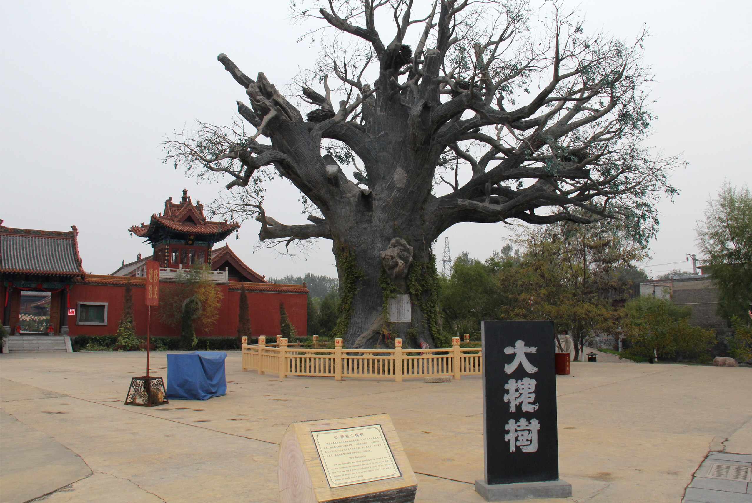 山西王家大院 壺口瀑布 大槐樹 華門2日遊(尋根祭祖 找尋華夏文明發源