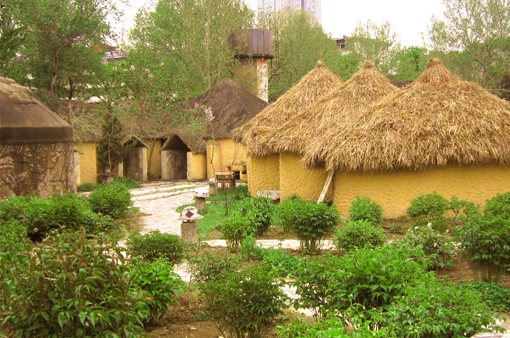 【穿越之旅】 西安東線一日遊(含半坡遺址博物館,華清宮,驪山兵諫亭