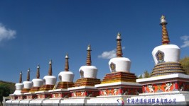 塔尔寺 塔尔寺