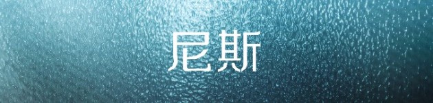 尼斯 尼斯