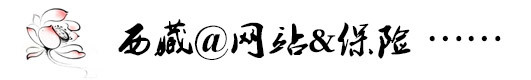 网络&保险 网络&保险