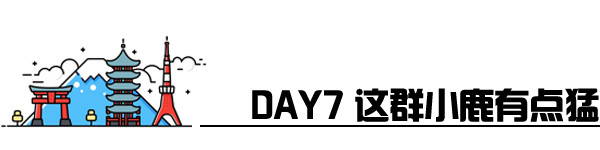 Day7 锦市场-奈良-京都拉面小路 Day7 锦市场-奈良-京都拉面小路