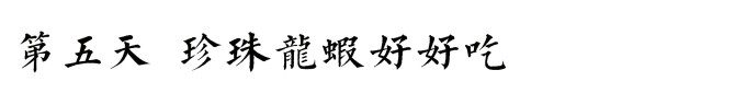 第五天 第五天